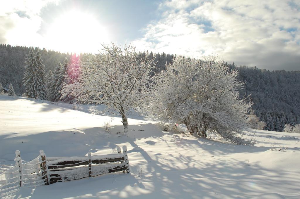 Là Haut&Spa Ventron Camera foto